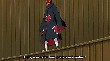 NS2050037.jpg
